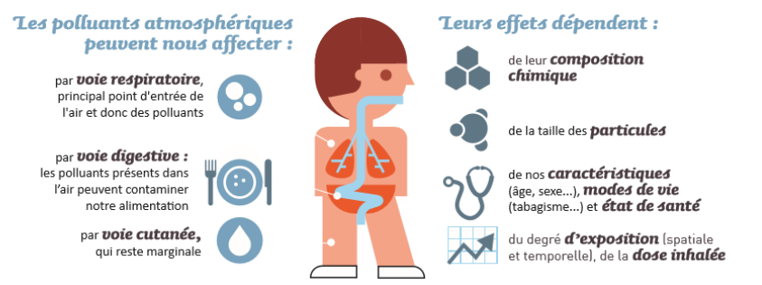 Inégalités de santé, environnement de voisinage et impact sanitaire de la  pollution atmosphérique : apports d'une analyse multidisciplinaire à fine  échelle. Application à l'agglomération Strasbourgeoise. - La librairie ADEME