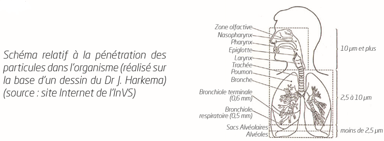 polluants